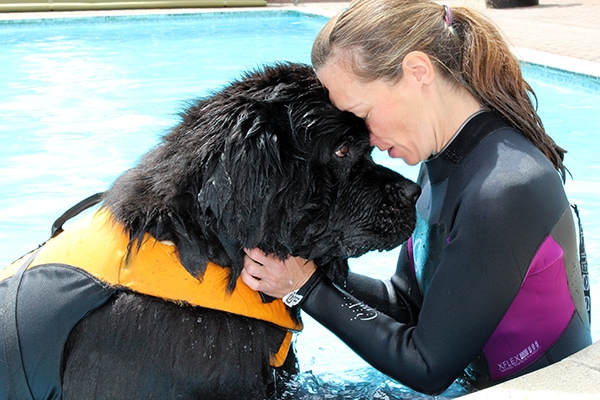 Hydrotherapy at Brentknoll Vets Worcester