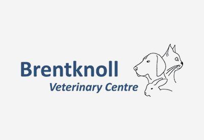 All about Acupuncture at Brentknoll Vets